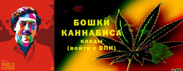 шишки Пестово