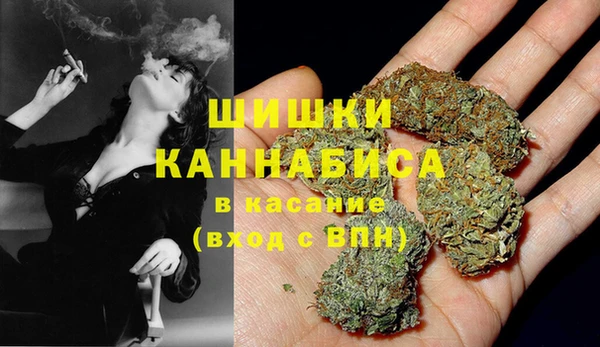 PSILOCYBIN Аркадак