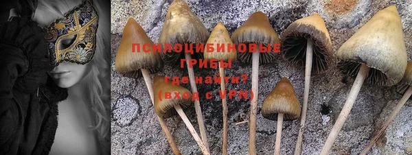 PSILOCYBIN Аркадак