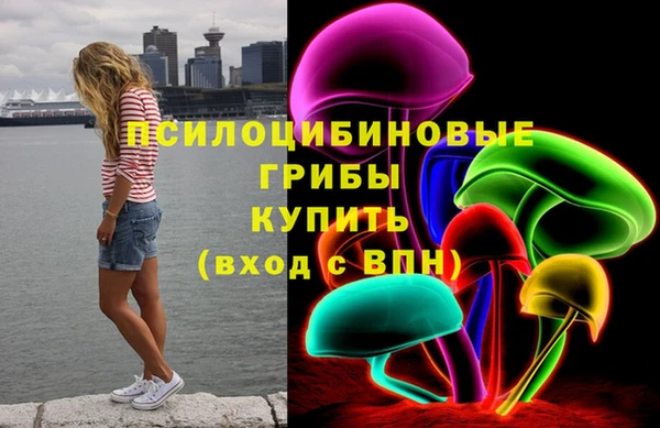 PSILOCYBIN Аркадак