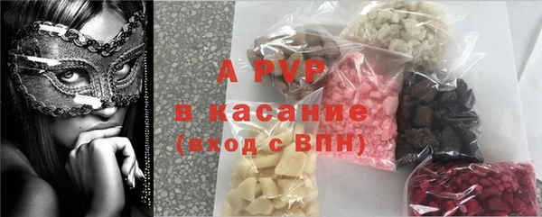 PSILOCYBIN Аркадак