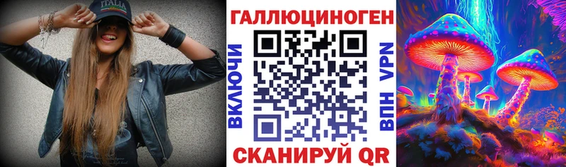 сколько стоит  Почеп  Псилоцибиновые грибы MAGIC MUSHROOMS 